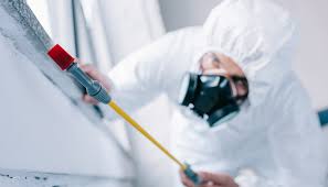 Best Residential Pest Control  in East Sparta, OH